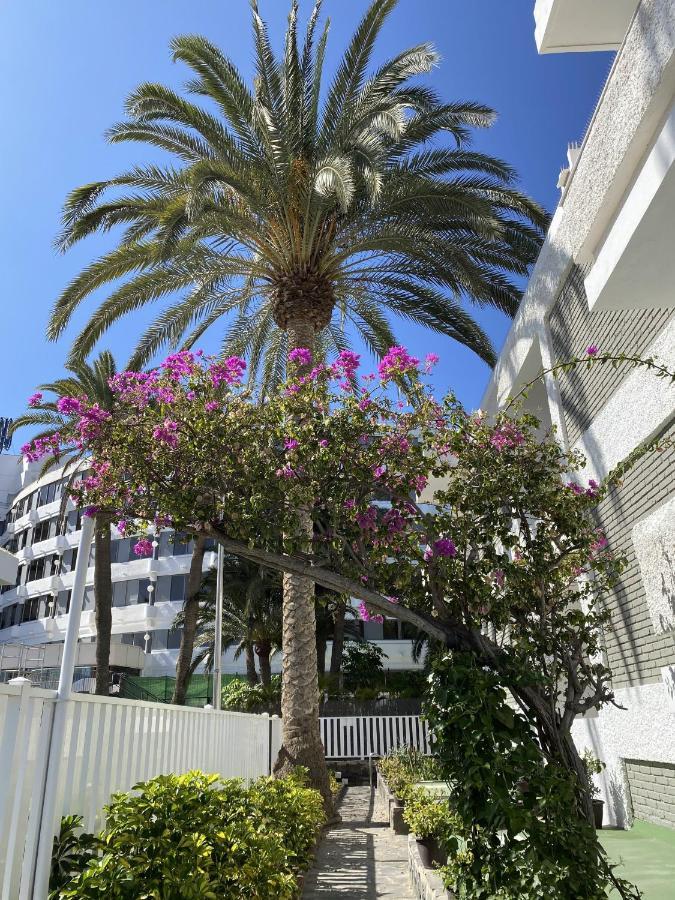 Oasis Playa Maspalomas Maspalomas (Gran Canaria) Exterior foto